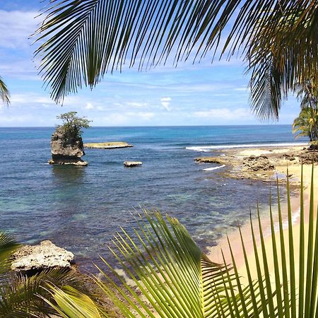 ホテル フィシス カリビアン ベッド ＆ ブレックファースト Puerto Viejo de Talamanca エクステリア 写真