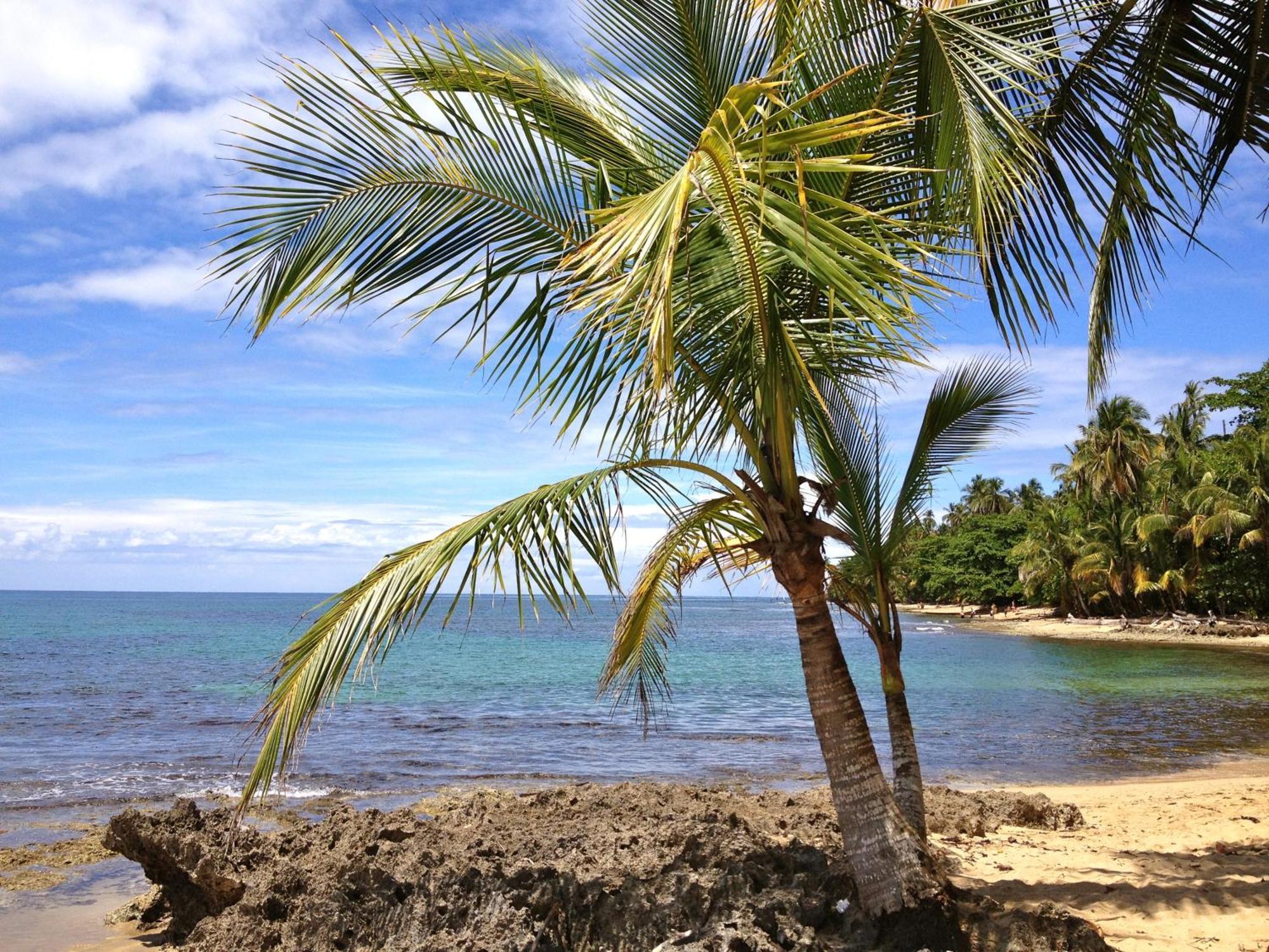 ホテル フィシス カリビアン ベッド ＆ ブレックファースト Puerto Viejo de Talamanca エクステリア 写真
