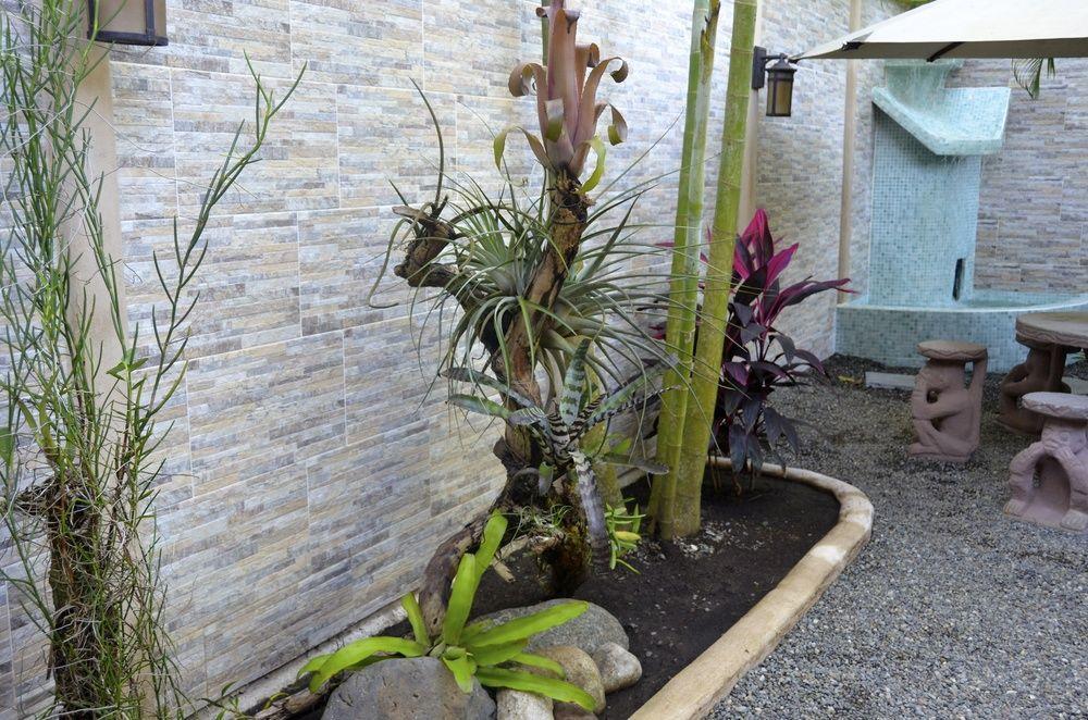 ホテル フィシス カリビアン ベッド ＆ ブレックファースト Puerto Viejo de Talamanca エクステリア 写真