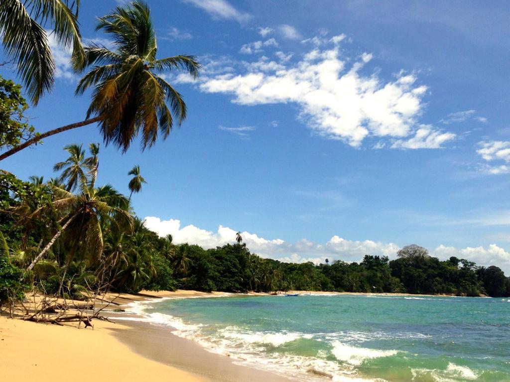 ホテル フィシス カリビアン ベッド ＆ ブレックファースト Puerto Viejo de Talamanca エクステリア 写真