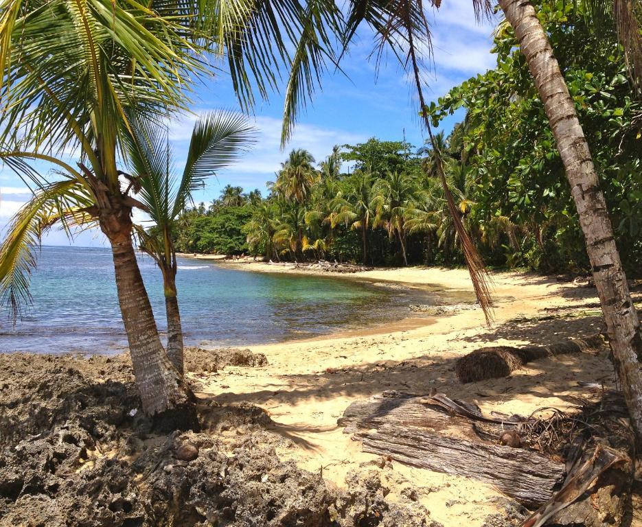 ホテル フィシス カリビアン ベッド ＆ ブレックファースト Puerto Viejo de Talamanca エクステリア 写真